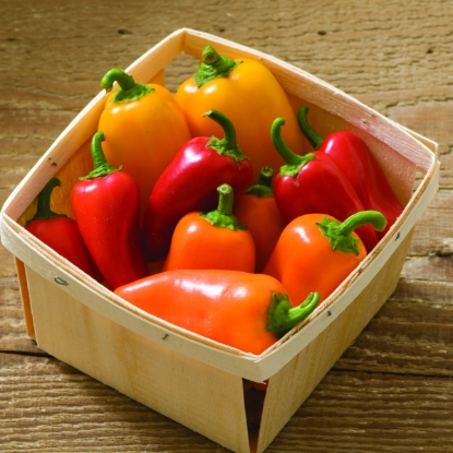 Picture of Lunchbox Mix Sweet Peppers